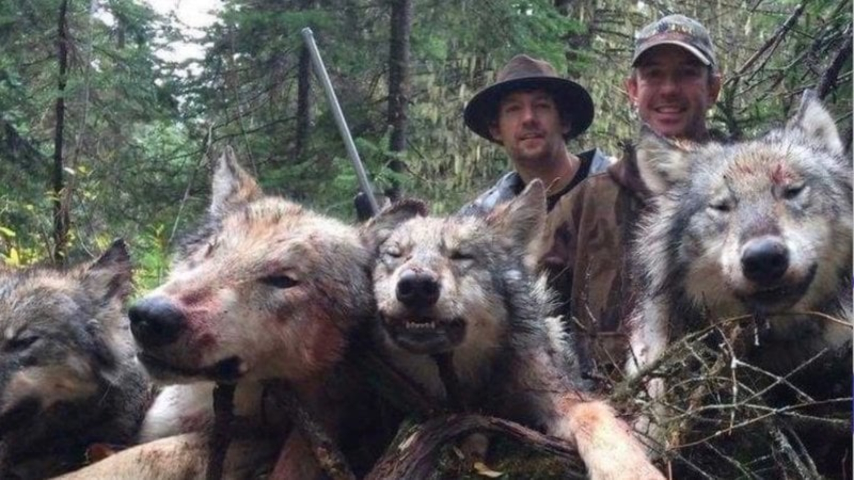 ocNQSYWjvJpyGfL-800x450-noPad