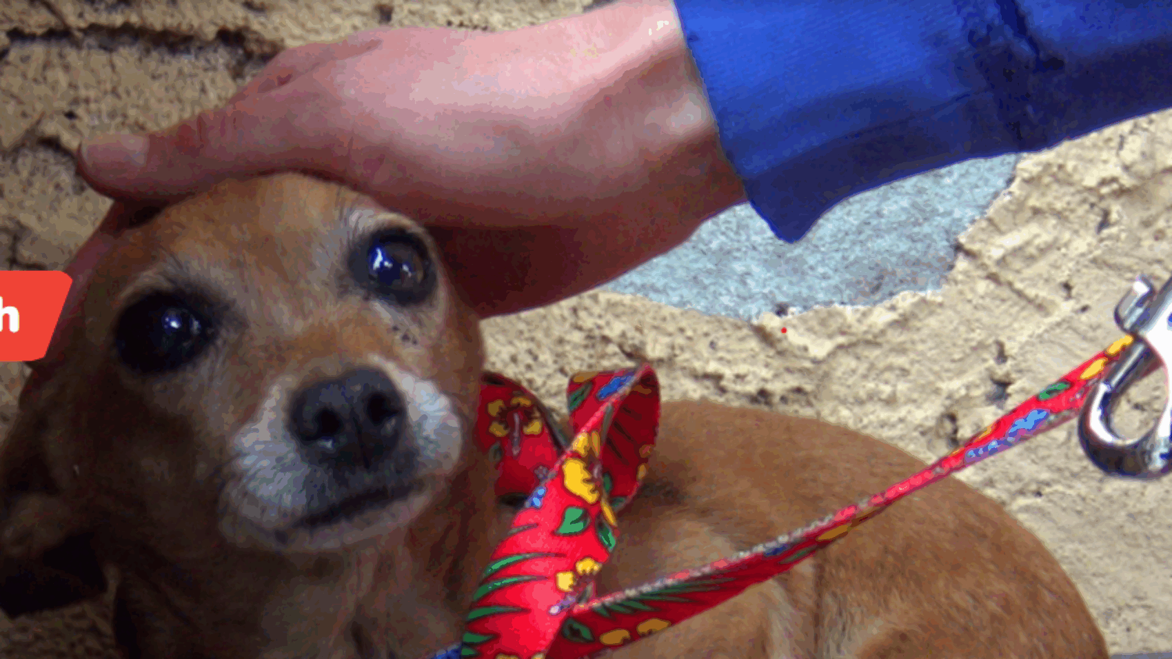 Screenshot-2024-06-13-161002