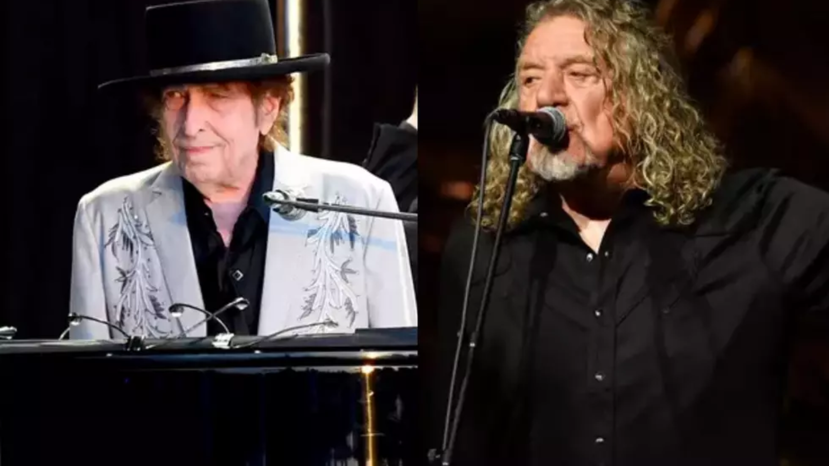 attachment-dylanplant