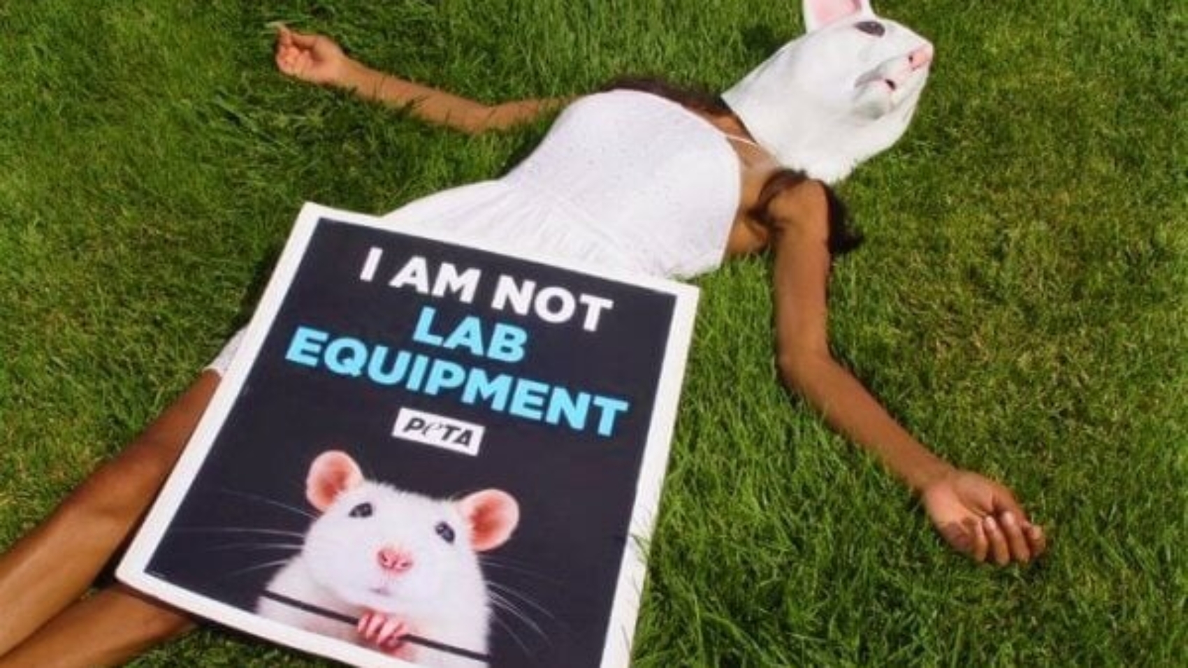 not-lab-equipment-600x340