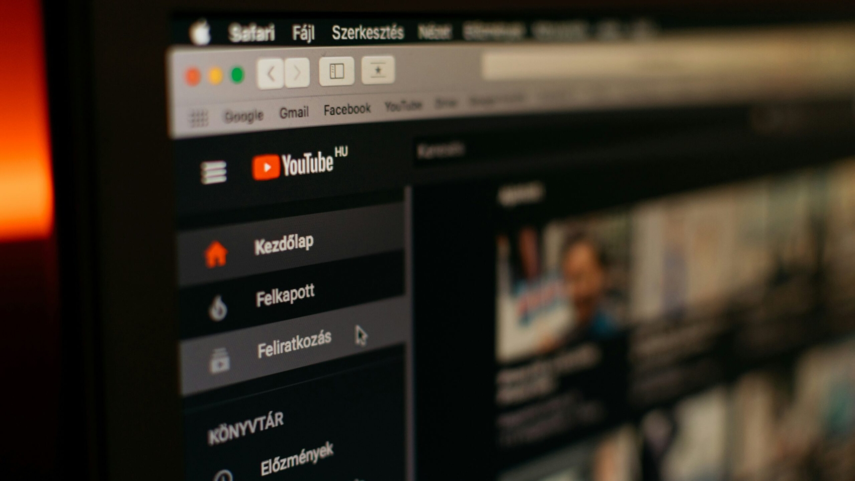 photo-1540655037529-dec987208707-scaled-1