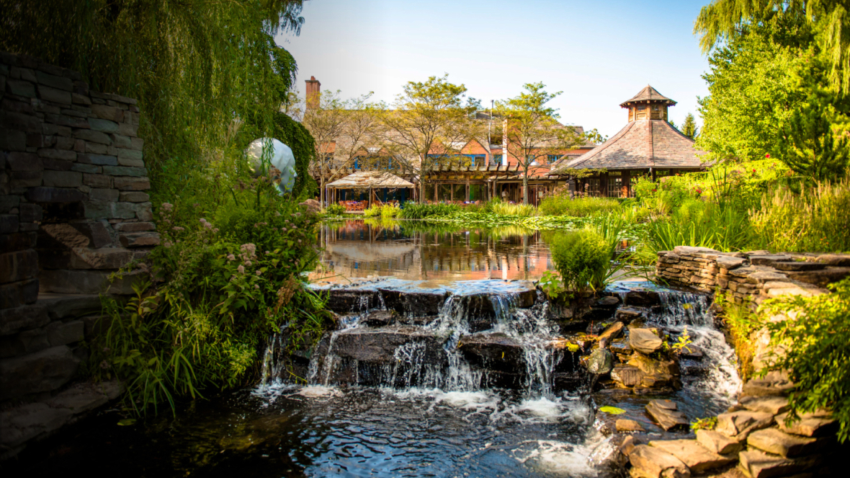 home-page-101-1110x0-c-default