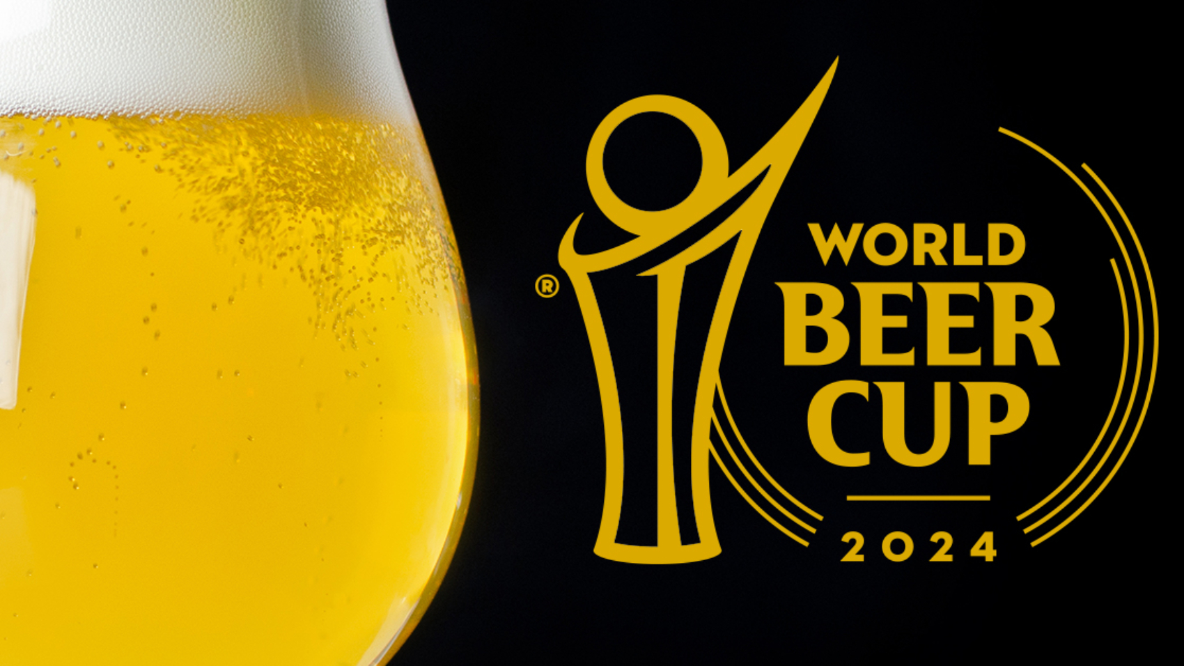 437040896_418537507547654_2660331516279562628_n