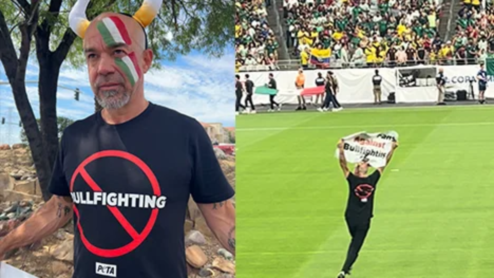 ENTbullfightingdemoPOJO