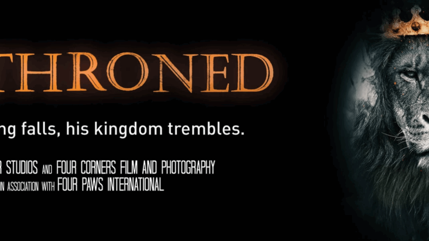 Screenshot-2024-10-17-192539