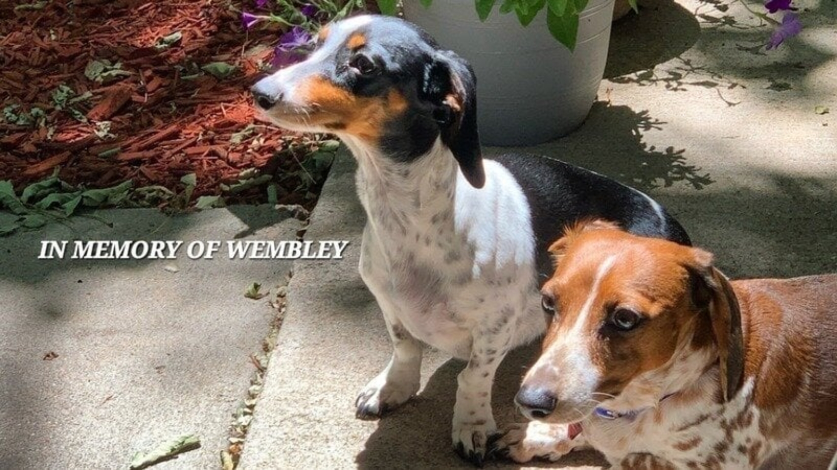 UKiBqxwUkObPsZe-800x450-noPad