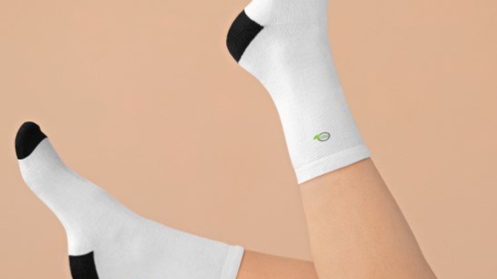 Screenshot-2024-12-17-083434