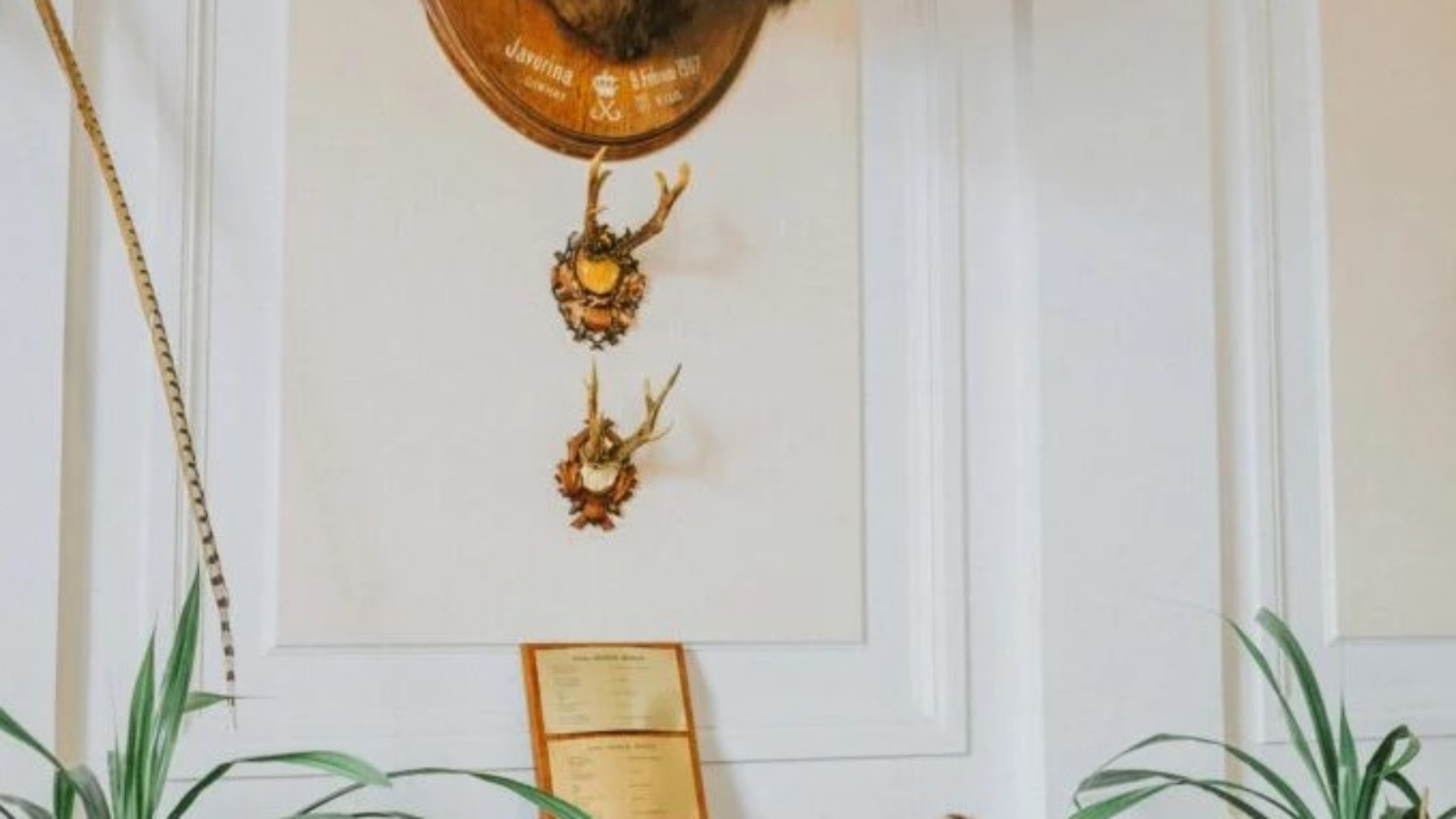 Screenshot 2025-01-27 144505