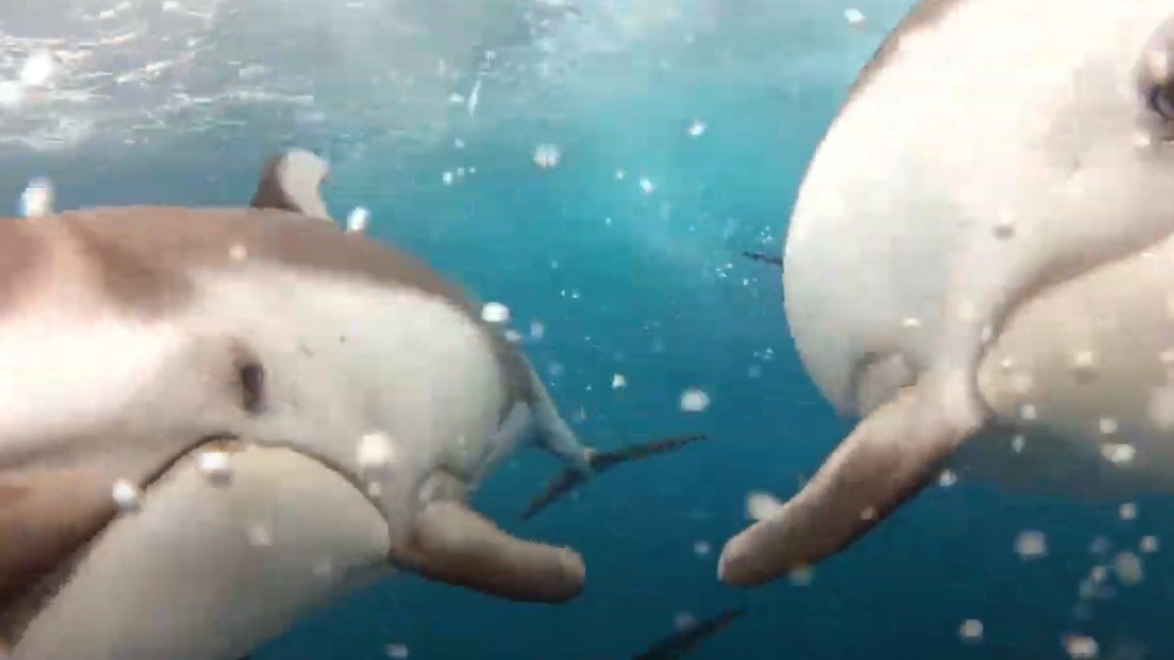 Screenshot-2025-01-28-111248