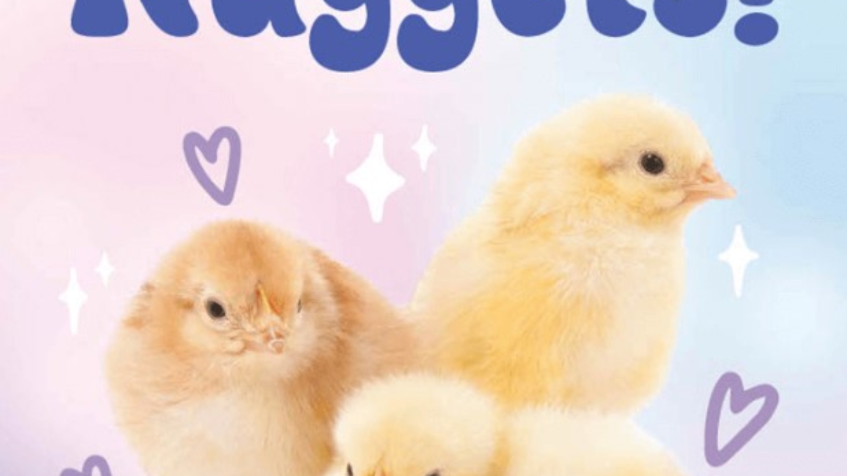 Screenshot 2025-03-13 090205