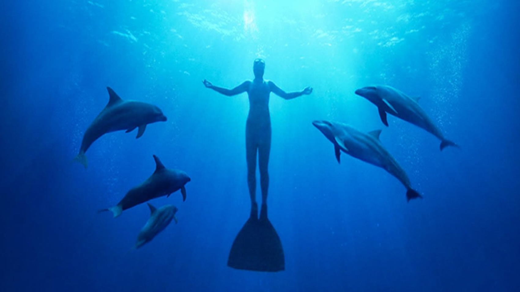 VideoTheSea