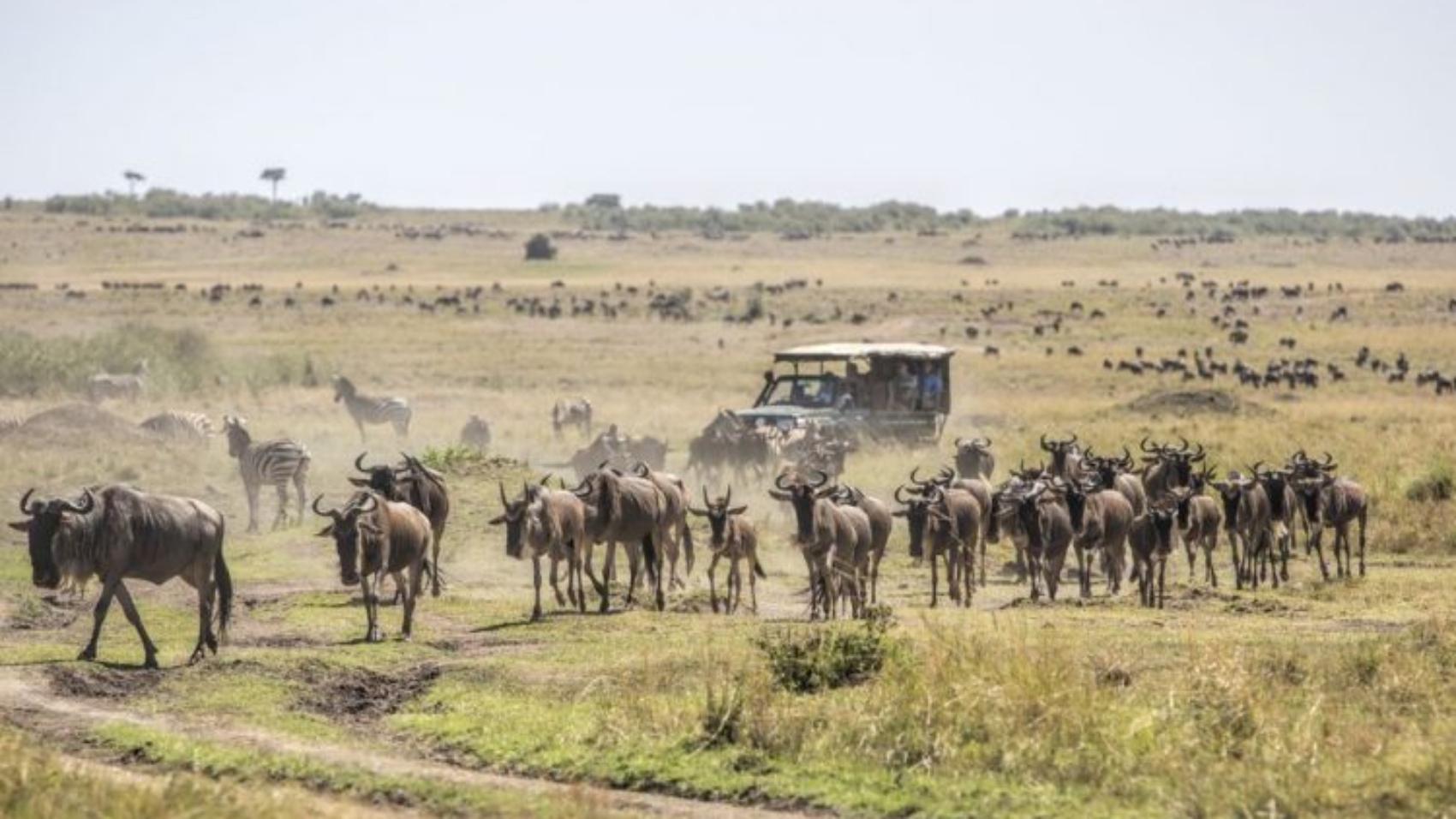 4-Days-Masai-Mara-Wildlife-safari-750x450-1