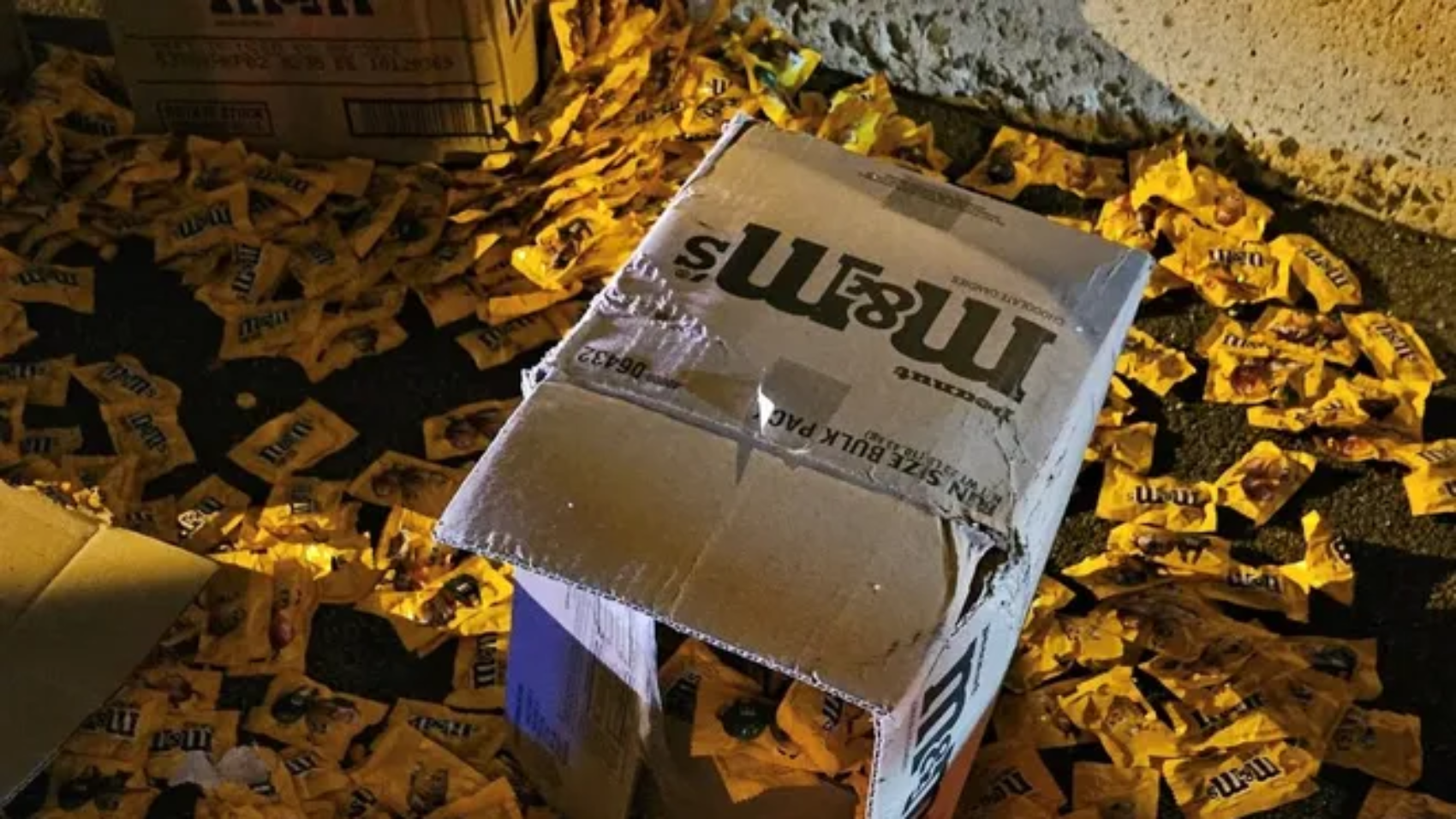 86180312007-knowlton-4