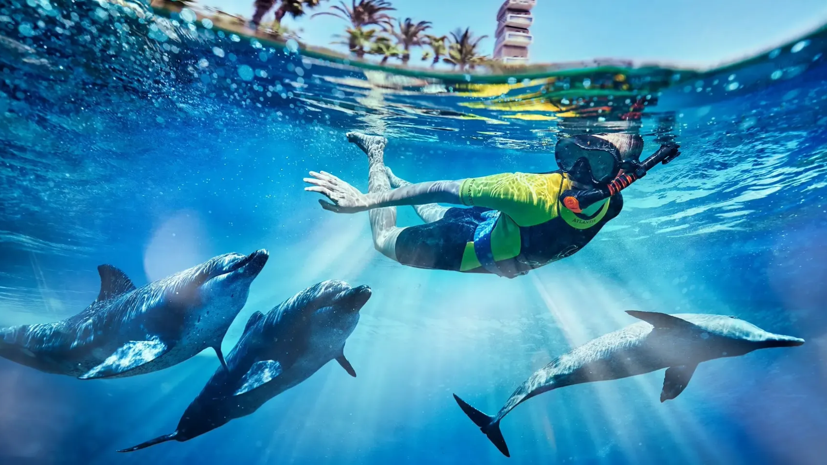 Dolphin-Snorkel-Kid