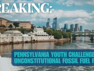 55ae7467-fd82-e929-eaf0-17858ae03804