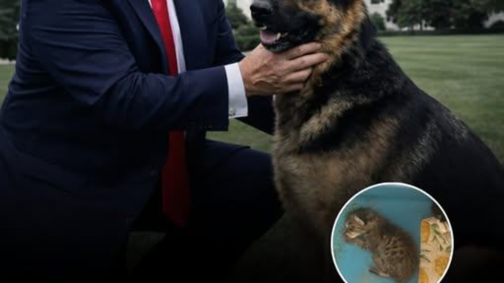 608454610_122154454370853270_6298820418905015079_n