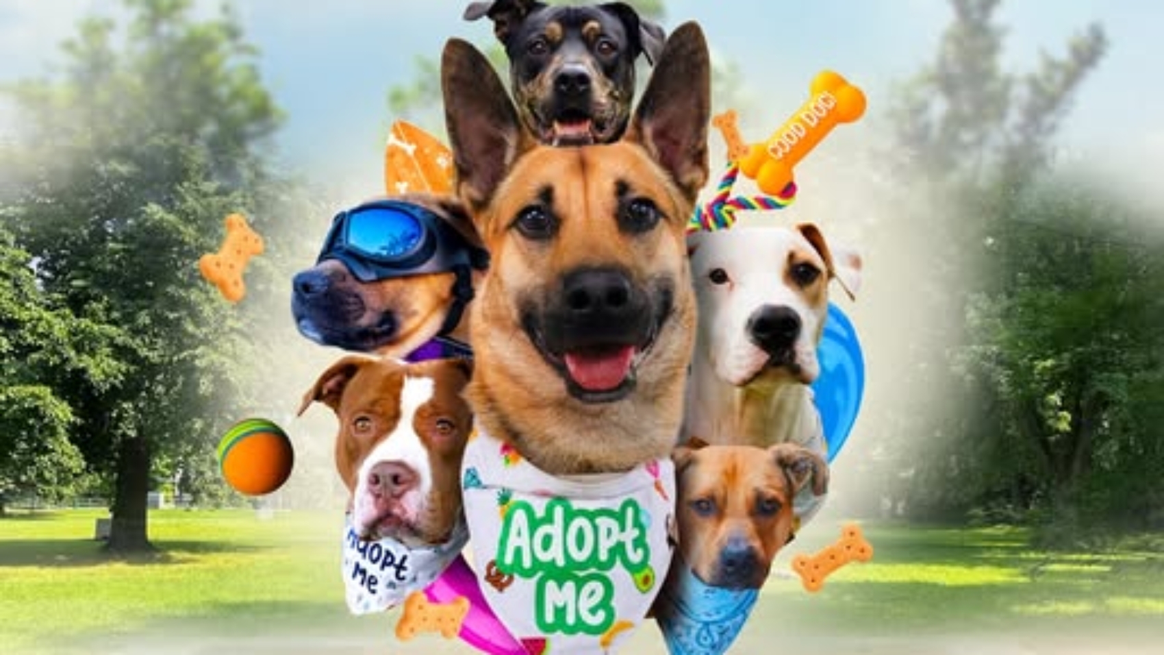 621127055_18558241897019648_6387984662442915058_n