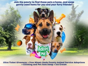 621127055_18558241897019648_6387984662442915058_n