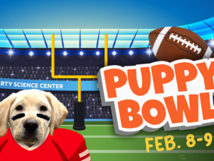 puppybowl