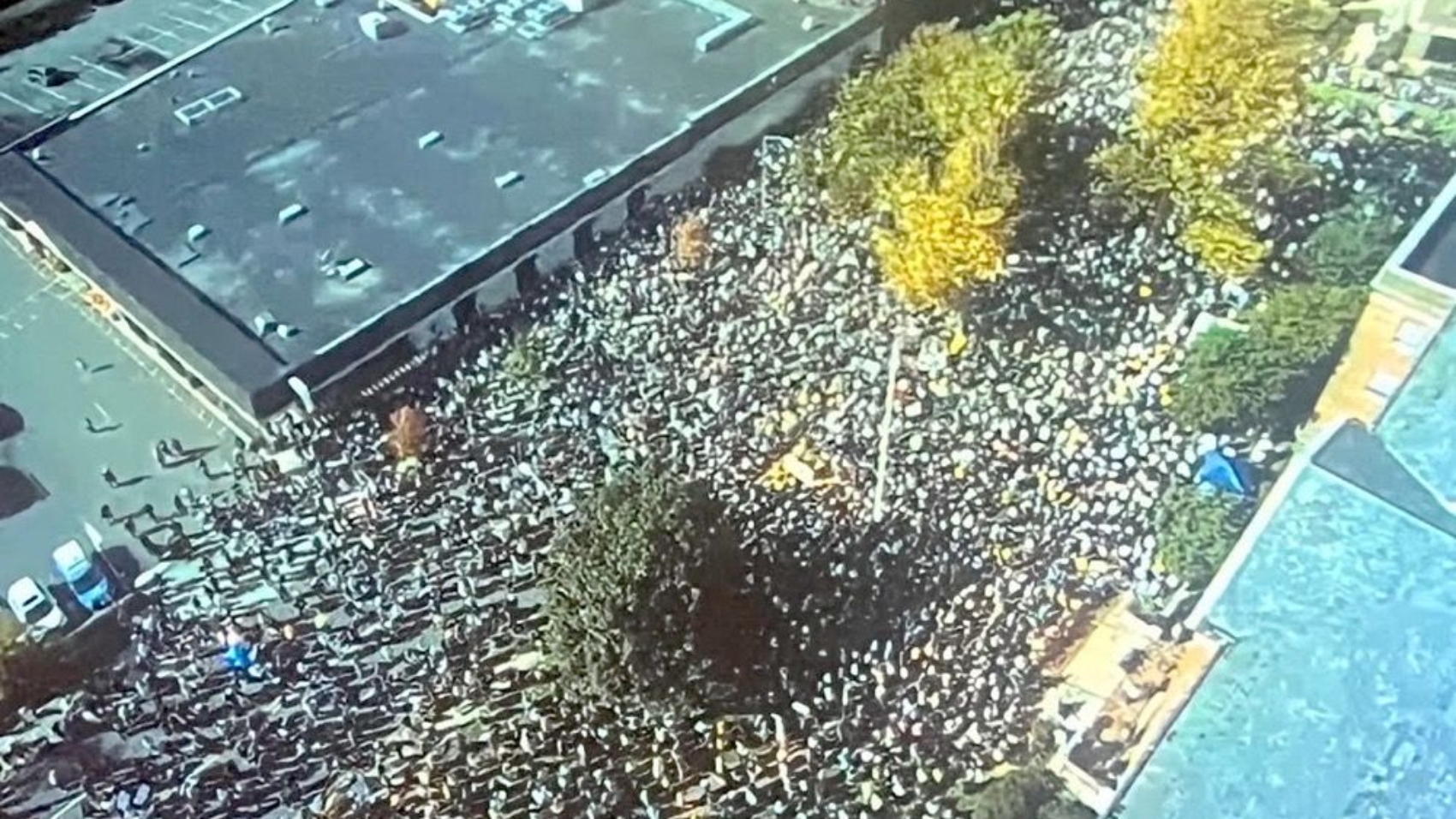 252097515850732046-2