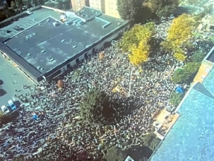 252097515850732046-2