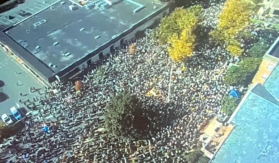 252097515850732046-2