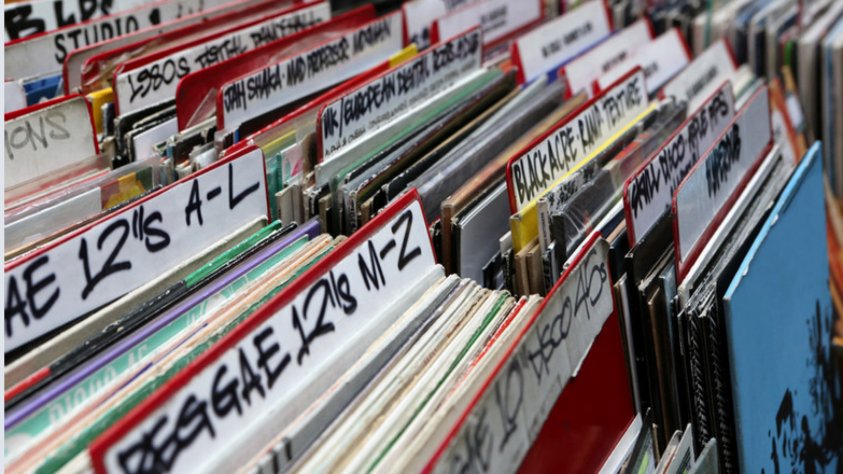 Project Reggaeologist