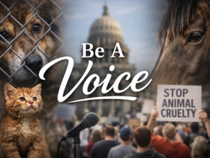 615560607_1361055469394657_3093719280582448171_n